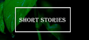Read more about the article A Short Story